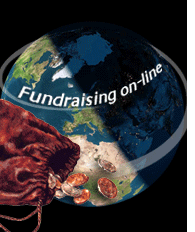fundraising on-line