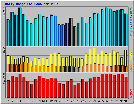 Daily usage for December 2024