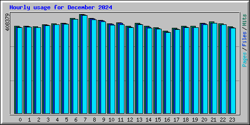 Hourly usage for December 2024