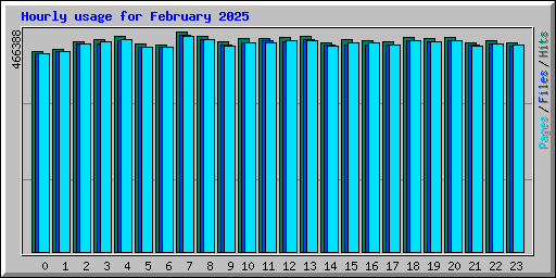 Hourly usage for February 2025