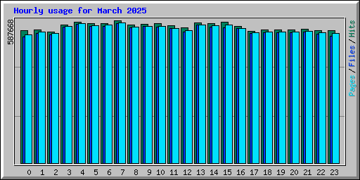 Hourly usage for March 2025