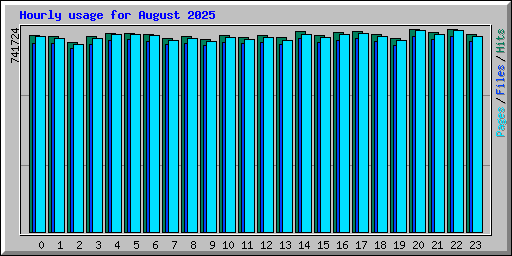 Hourly usage for August 2025