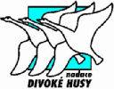 nadace Divoké husy