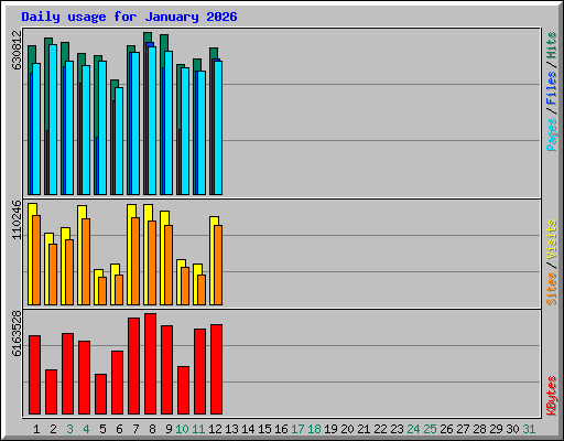 Daily usage for January 2026