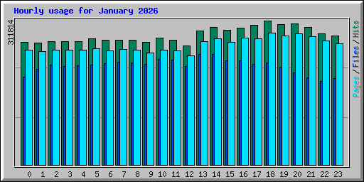 Hourly usage for January 2026